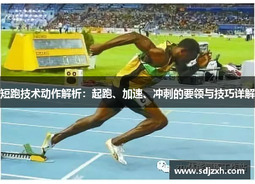 短跑技术动作解析:起跑、加速、冲刺的要领与技巧详解 短跑技术动作解析:起跑、加速、冲刺的要领与技巧详解